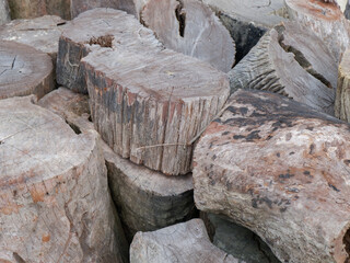 piles of tree trunks from logging which will be made into handicrafts such as chairs