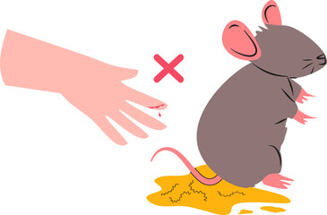 Leptospirosis illustration. Rat fever illustration. Leptospira bacteria.