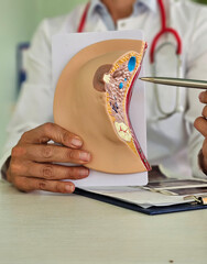 Female doctor explains disease and uses anatomical model of breast concept