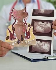 Rectal examination and transrectal ultrasound