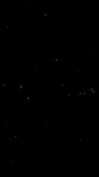 A beautiful sparkle of stars that creates a special moment. A background-transparent animation with an alpha channel.