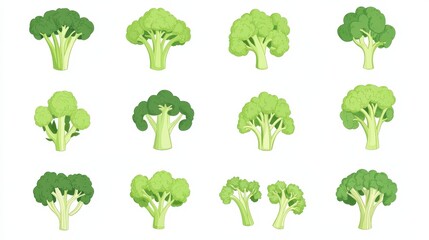 Simple and Modern Flat Vector Broccoli Collection on White Background