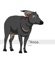 Anoa Cartoon illustration
