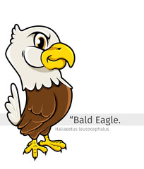 Bald eagle Cartoon illustration
