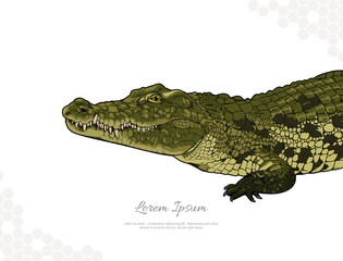Nile crocodile vector art for wall decoration 1