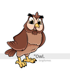 Owl Cartoon illustration