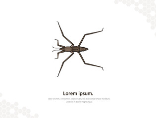 Pond skater vector art for wall decoration landscape