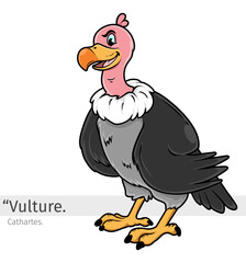 Vulture Cartoon illustration