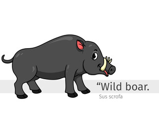 Wild boar Cartoon illustration