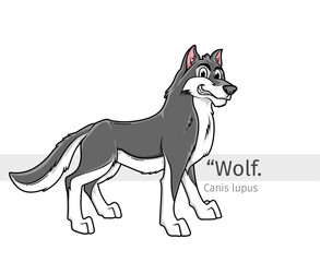 Wolf Cartoon illustration