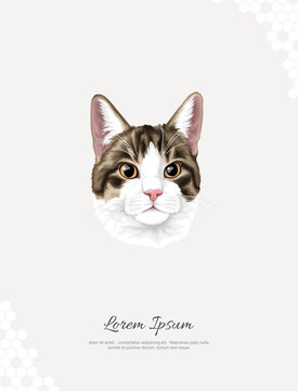 Vector Silver Tabby Cat Breed wall decor ideas Portrait 9