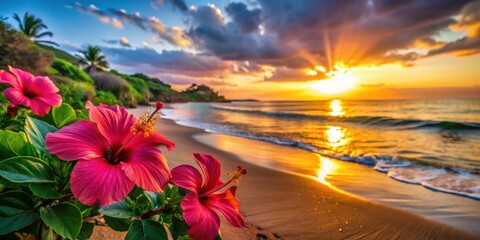 Vibrant hibiscus flowers on Maui beach at sunset, hibiscus, flowers, Maui, Hawaii, colorful, sandy beach