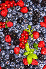 Wild berries background. Blueberry, raspberries, blackberry. Background of berries. Summer berries background. Mixed berries background.