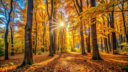 Vibrant fall foliage in the woods with sunlight filtering through yellow leaves and tree trunks , Autumn, forest, nature
