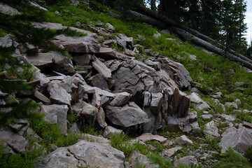 Fototapeta premium rocks in the forest