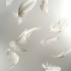 Floating Feathers in Soft Light with Delicate Shadows on Gradient Background