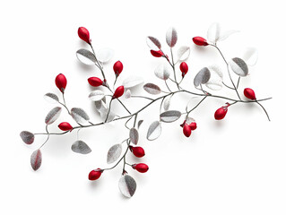 Decorative branch with red berries and silver leaves on white background.