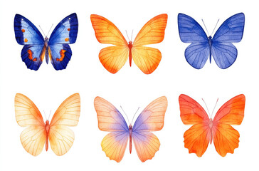 Obraz premium A Range of Butterflies in Assorted Forms for a Minimalistic and Elegant Nature Design