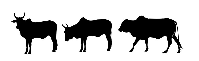 Indian Ox silhouette vector illustration