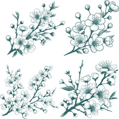 set of sakura lineart, Floral Line Art Featuring Sakura Flower Outlines Hand Drawn Doodle Flowers Ideal for Wedding Invitations Bridal Showers and Floral Greeting Cards pink Stencil Flowers Isolated