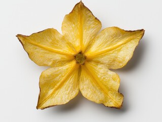 Fototapeta premium Close-up of a vibrant yellow flower