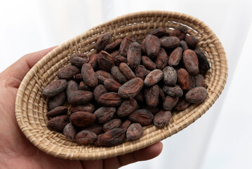 Detailed shot of raw cacao beans in plate