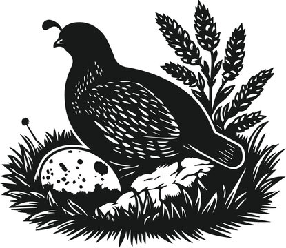 recommend clip art: silhouette of quail laying an egg vector art illustration