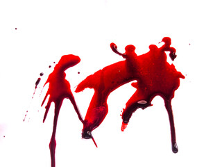 red blood drops on the floor, blood isolated white background, concept of splatter blood, murder...