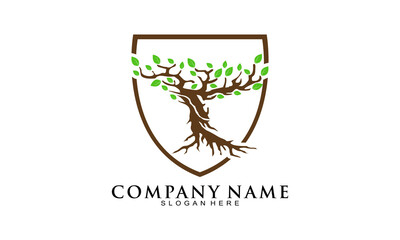 Bonsai plant with shield symbol logo design vector