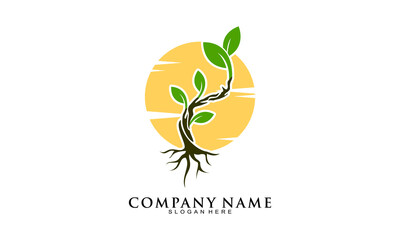 Obraz premium Bonsai plant with sunset logo design vector