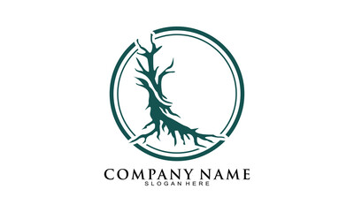 Bonsai stem logo design vector