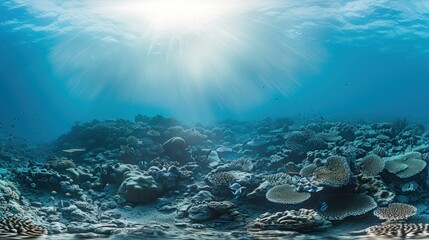 Fototapeta premium Sunbeams Through Coral Reef