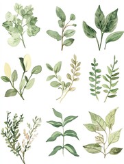Greenery Botanical Stamps Vintagestyle postage stamps