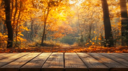 Wooden table top with autumn forest. Beautiful fall background