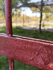 Web on the fence. Spider web during Indian summer. Autumn warm weather. Background, place for text. Indian summer concept.