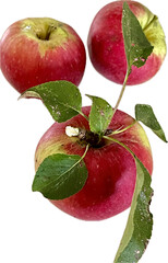 3 red apples with leaves, isolated
