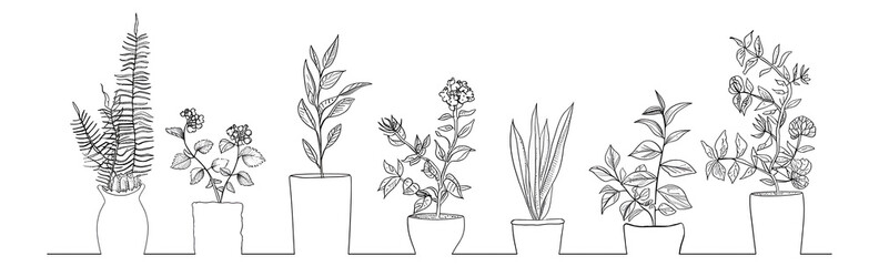 Houseplants frame line drawing on white background