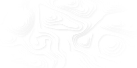 Abstract 3d white papercut topography relief vector background illustration for your design. gray and white wave. Abstract paper cut. Abstract colorful waves.