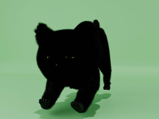 癒しの風景・伸びをする子猫