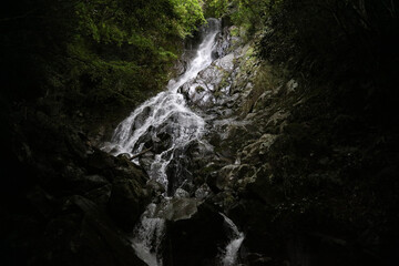 Obraz premium 恵の滝 静岡県賀茂郡西伊豆町