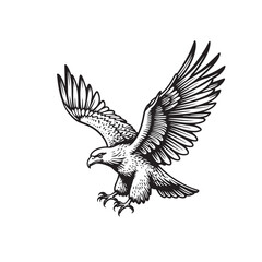 Fototapeta premium a black and white drawing of an eagle flying