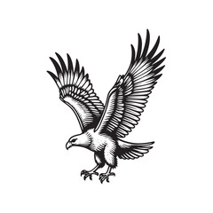 Fototapeta premium a black and white drawing of an eagle
