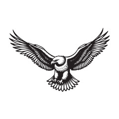 a black and white drawing of an eagle flying