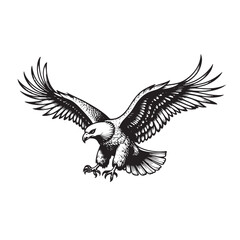 Obraz premium a black and white drawing of an eagle flying