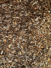Closeup decaying mulch or wood chips material texture for backgrounds, naturethemed designs,...