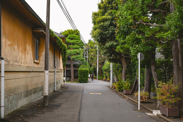 Quiet Greenery-Lined Road in Bunkyo Sekiguchi with Traditional Japanese Houses and Lush Foliage, Tokyo, September 2024.