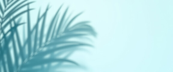 Abstract Palm Leaf Shadow on Light Blue Background