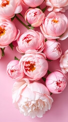 Delicate Pink Peonies on a Pink Background