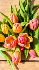 Fototapeta premium Close Up of Pink and Yellow Tulips on Wooden Background