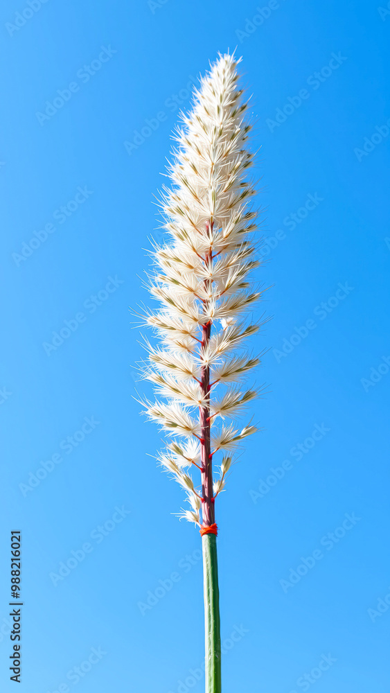 Sticker White Flower Against Blue Sky